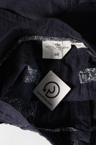 Φούστα H&M L.O.G.G., Μέγεθος L, Χρώμα Μπλέ, Τιμή 2,69 €