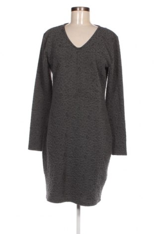 Φόρεμα Fransa, Μέγεθος XL, Χρώμα Γκρί, Τιμή 4,42 €
