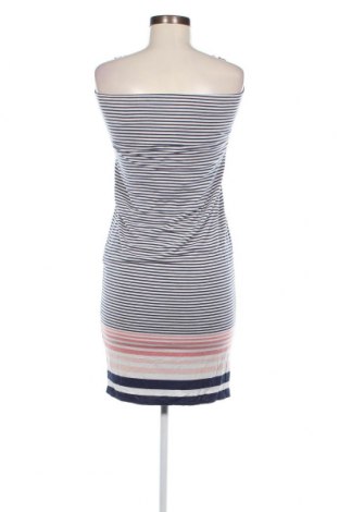 Kleid Max Studio, Größe XS, Farbe Mehrfarbig, Preis 9,23 €
