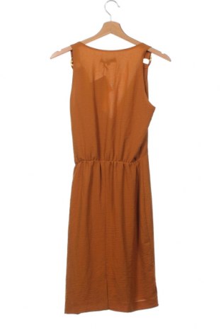Kleid Morgan, Größe XS, Farbe Braun, Preis 7,89 €