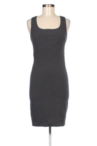 Kleid Pinko, Größe S, Farbe Grau, Preis 49,63 €