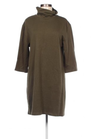 Kleid Zara Trafaluc, Größe M, Farbe Grün, Preis 3,67 €