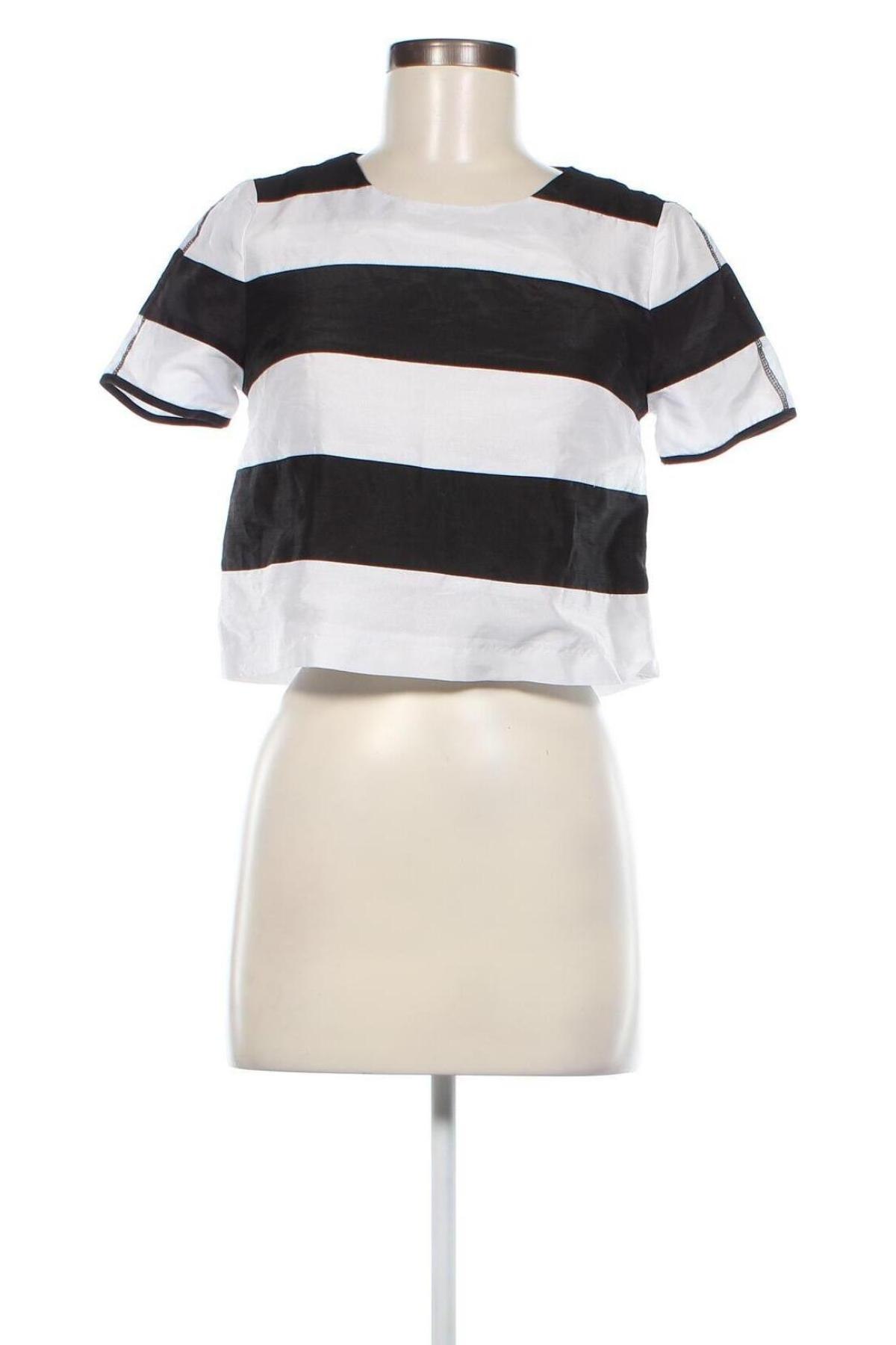 Γυναικεία μπλούζα Cc&dd, Μέγεθος M, Χρώμα Πολύχρωμο, Τιμή 13,35 €
