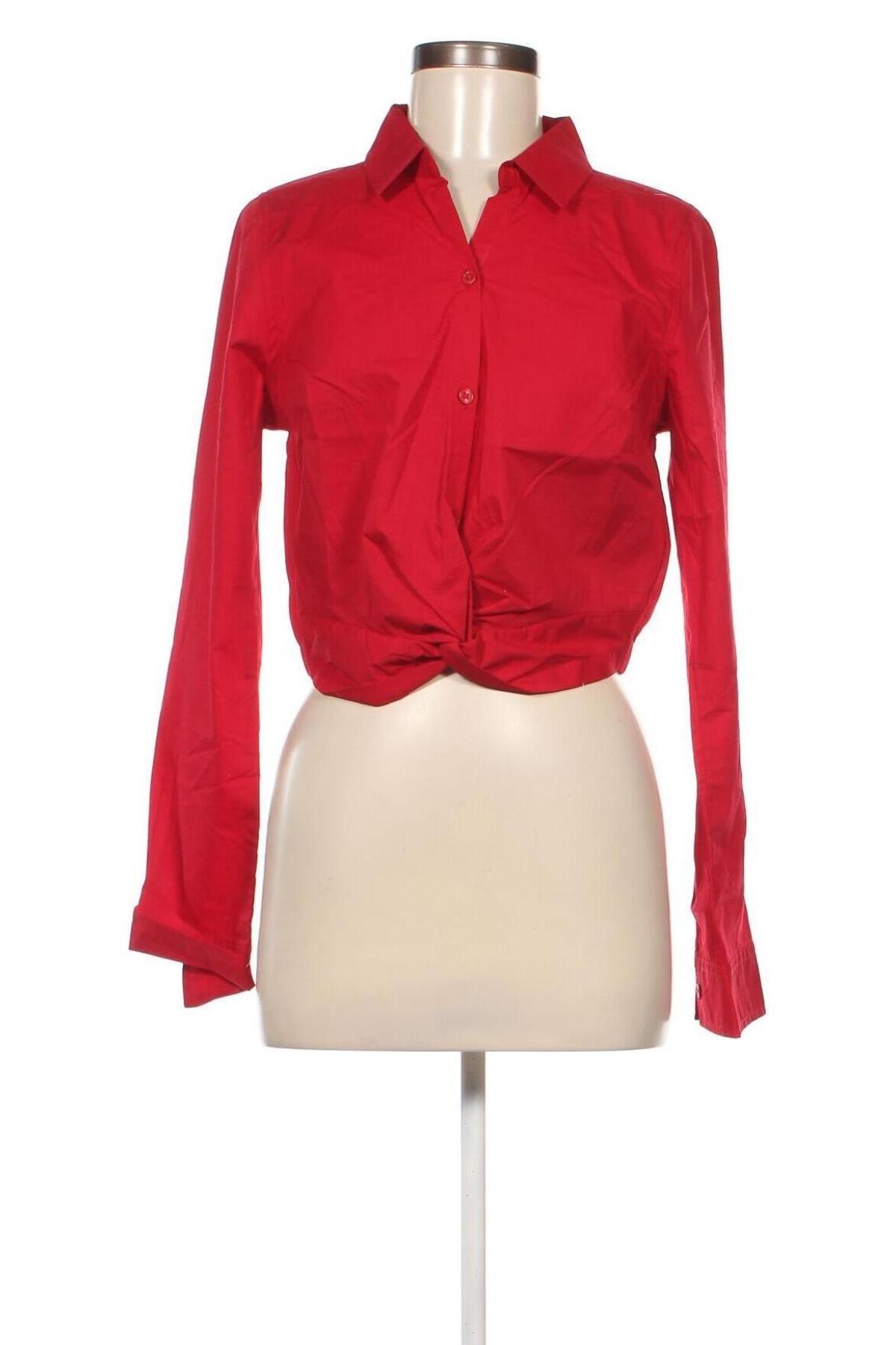 Damen Shirt Hollister, Größe M, Farbe Rot, Preis 37,11 €