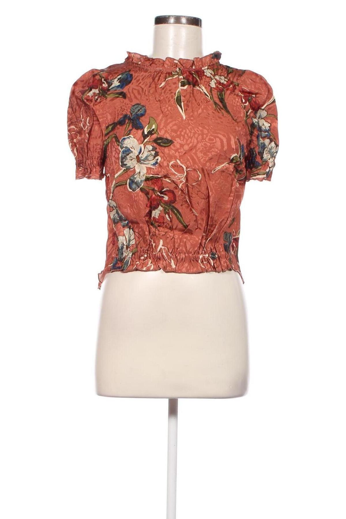 Γυναικεία μπλούζα Misha, Μέγεθος XS, Χρώμα Καφέ, Τιμή 4,45 €