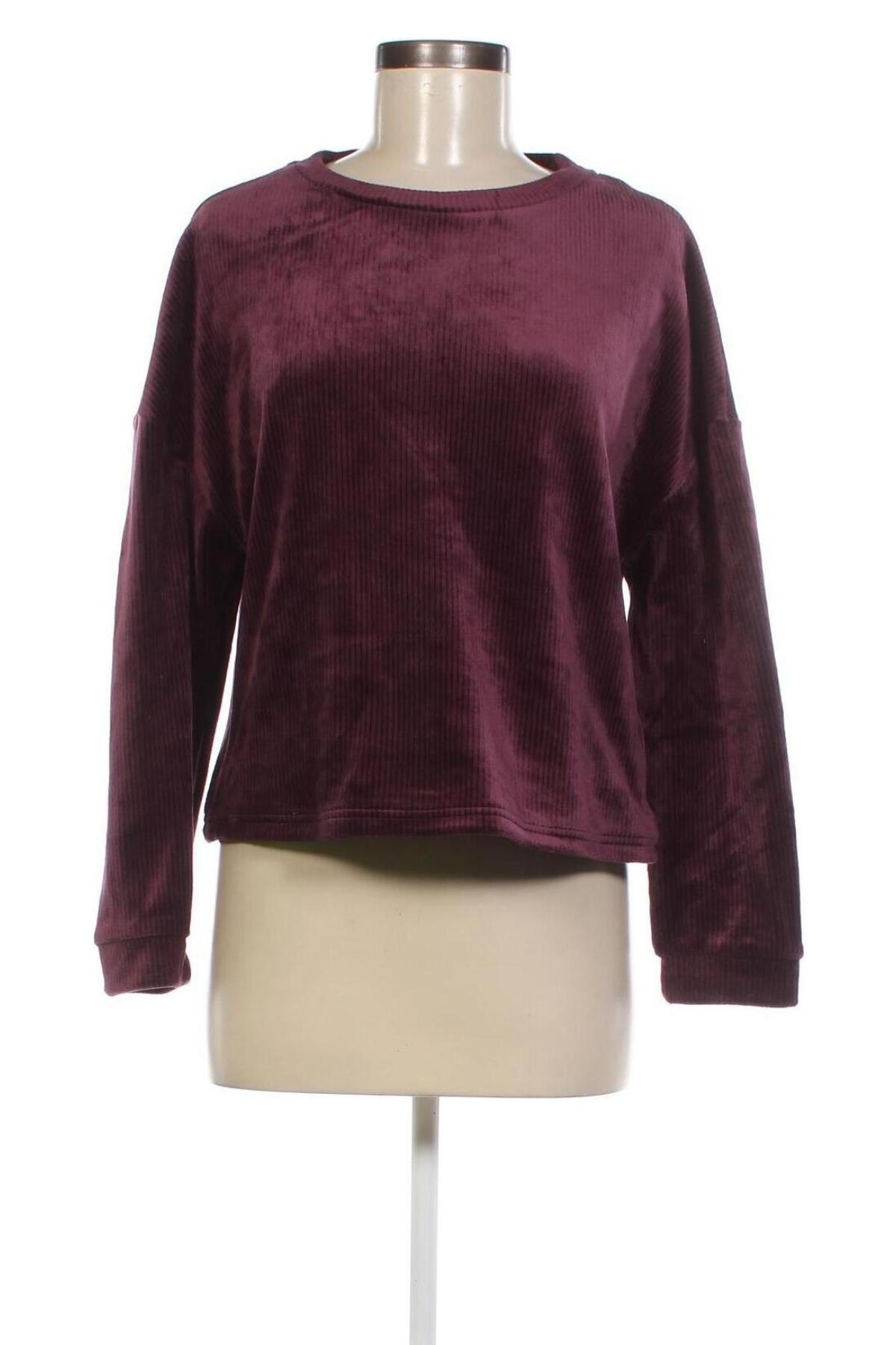 Damen Shirt Primark, Größe S, Farbe Lila, Preis € 2,38
