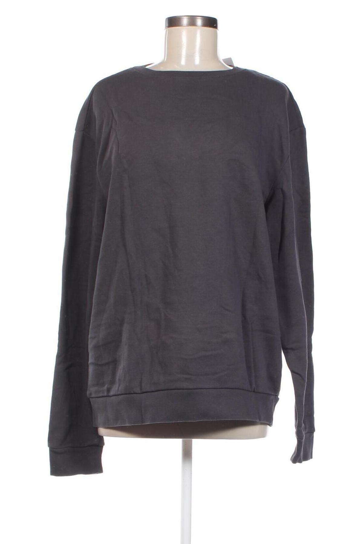 Γυναικεία μπλούζα Review, Μέγεθος L, Χρώμα Γκρί, Τιμή 2,97 €