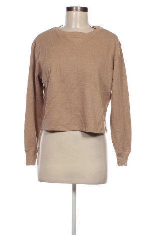 Damen Shirt Anko, Größe M, Farbe Beige, Preis € 2,99