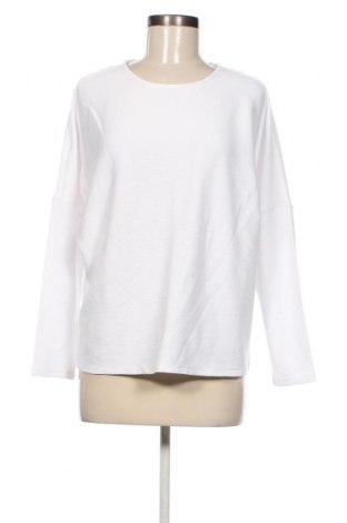 Damen Shirt Anko, Größe L, Farbe Weiß, Preis € 13,99