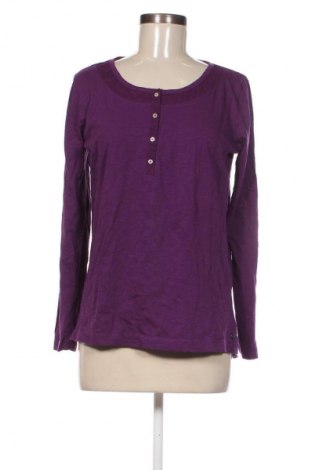 Damen Shirt Cecil, Größe M, Farbe Lila, Preis 23,99 €