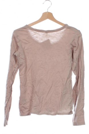 Damen Shirt Colours Of The World, Größe XS, Farbe Beige, Preis € 2,99