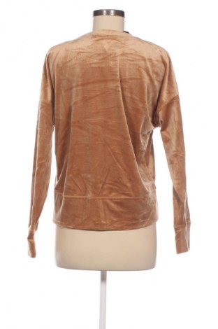 Damen Shirt Decjuba, Größe S, Farbe Braun, Preis 8,99 €