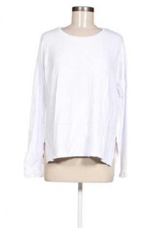 Damen Shirt French Connection, Größe M, Farbe Weiß, Preis € 20,99