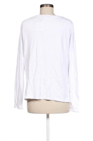 Damen Shirt French Connection, Größe M, Farbe Weiß, Preis € 20,99