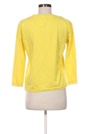 Damen Shirt Jake*s, Größe M, Farbe Gelb, Preis € 5,99