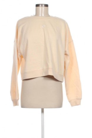 Damen Shirt Miss Selfridge, Größe M, Farbe Ecru, Preis € 17,99