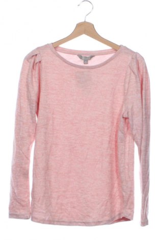 Damen Shirt Suzanne Grae, Größe XS, Farbe Rosa, Preis € 13,99