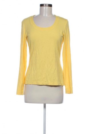 Damen Shirt Taifun, Größe M, Farbe Gelb, Preis 9,99 €