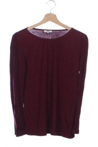 Damen Shirt Tom Tailor, Größe XS, Farbe Rot, Preis € 5,99