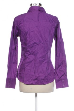 Damenbluse Colours, Größe L, Farbe Lila, Preis € 7,99