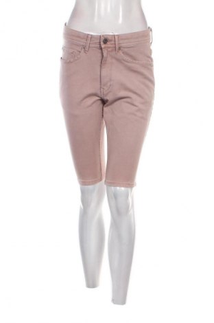 Damen Shorts Clockhouse, Größe M, Farbe Aschrosa, Preis € 6,99