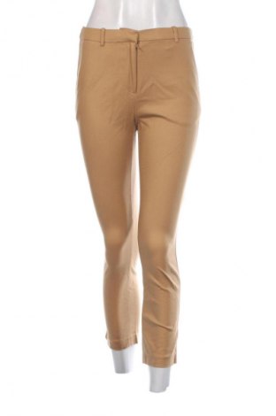 Damenhose Padini Authentics, Größe S, Farbe Beige, Preis 33,99 €