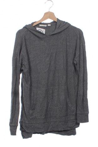 Damen Sweatshirt Country Road, Größe XXS, Farbe Grau, Preis 13,99 €