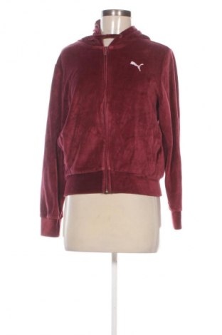 Damen Sweatshirt PUMA, Größe S, Farbe Rot, Preis € 25,00