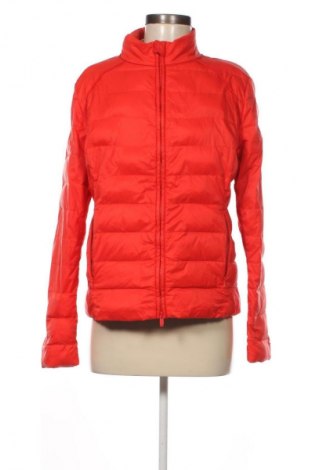 Damenjacke Hugo Boss, Größe L, Farbe Rot, Preis € 85,99