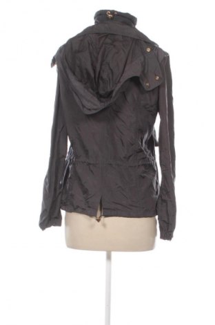 Damenjacke Massimo Dutti, Größe M, Farbe Grau, Preis 18,99 €