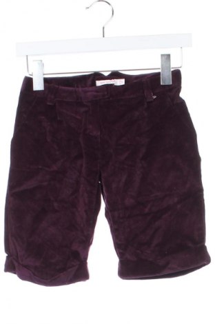 Kinder Shorts Petit Patapon, Größe 11-12y/ 152-158 cm, Farbe Lila, Preis 13,99 €