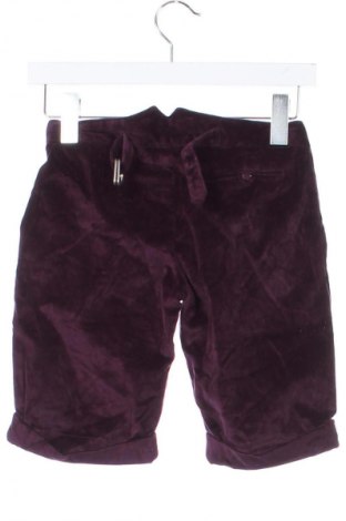 Kinder Shorts Petit Patapon, Größe 11-12y/ 152-158 cm, Farbe Lila, Preis € 11,99