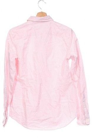Damenbluse Ralph Lauren, Größe M, Farbe Rosa, Preis 71,99 €