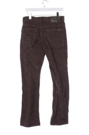 Herren Cordhose Canda, Größe M, Farbe Grün, Preis € 6,99