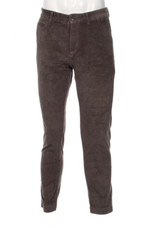 Herren Cordhose Selected Homme, Größe S, Farbe Grün, Preis € 8,99