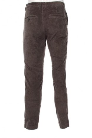 Herren Cordhose Selected Homme, Größe S, Farbe Grün, Preis € 8,99