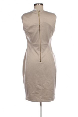 Kleid Calvin Klein, Größe M, Farbe Beige, Preis 41,99 €