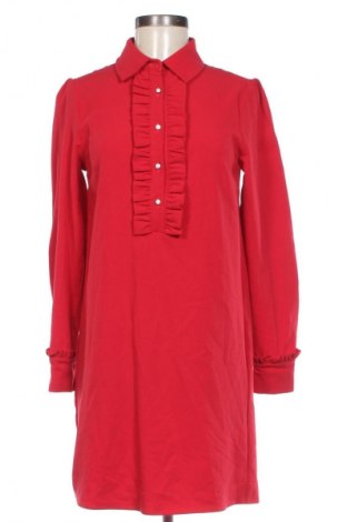 Kleid Esqualo, Größe S, Farbe Rot, Preis € 33,99