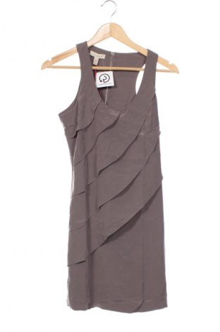 Kleid Ted Baker, Größe S, Farbe Grau, Preis € 234,99