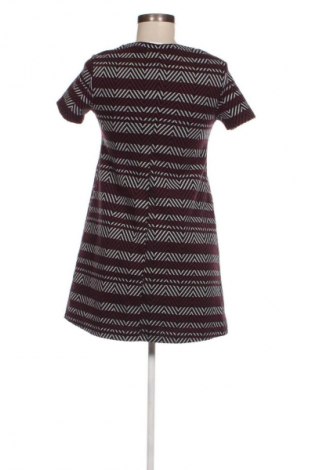 Kleid Zara Trafaluc, Größe S, Farbe Mehrfarbig, Preis 13,99 €