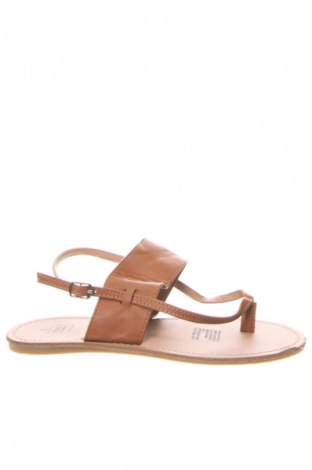 Sandalen Clothing & Co, Größe 37, Farbe Braun, Preis € 27,99