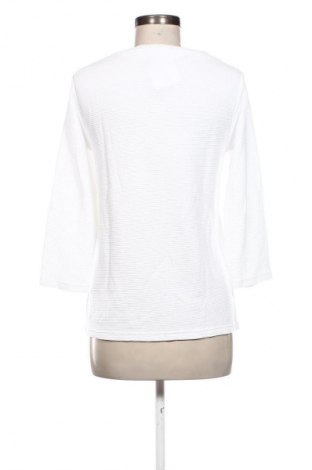 Γυναικεία μπλούζα 17 & Co., Μέγεθος S, Χρώμα Λευκό, Τιμή 10,00 €