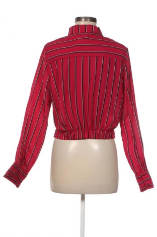 Damen Shirt Active USA, Größe L, Farbe Mehrfarbig, Preis € 4,99