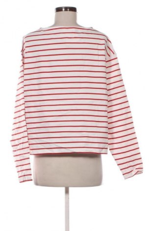 Γυναικεία μπλούζα Anko, Μέγεθος XL, Χρώμα Πολύχρωμο, Τιμή 5,99 €