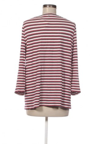 Γυναικεία μπλούζα Bonita, Μέγεθος XL, Χρώμα Πολύχρωμο, Τιμή 6,99 €