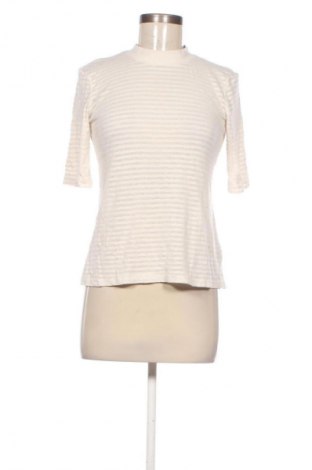 Damen Shirt Colloseum, Größe L, Farbe Mehrfarbig, Preis 5,99 €