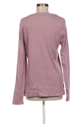 Damen Shirt Ed.it.ed, Größe XXL, Farbe Lila, Preis 10,99 €