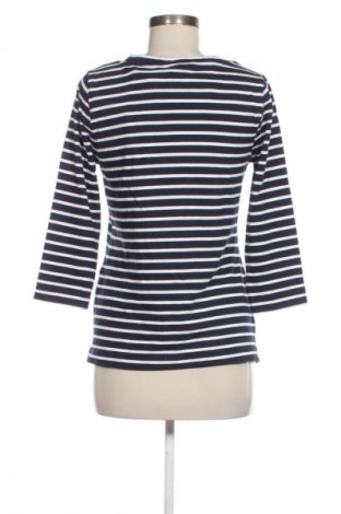 Bluzka damska Editor's Cut, Rozmiar M, Kolor Kolorowy, Cena 83,99 zł