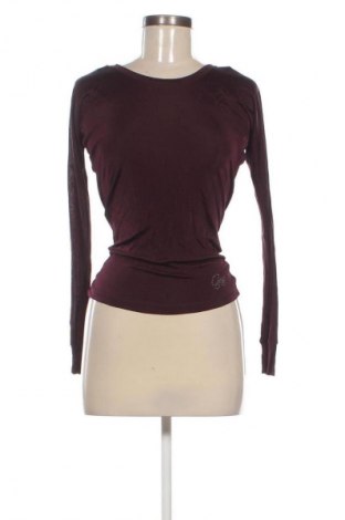 Damen Shirt Gas, Größe XS, Farbe Braun, Preis 25,00 €