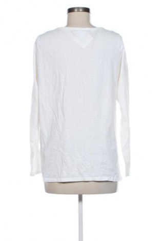 Γυναικεία μπλούζα Gina Benotti, Μέγεθος XL, Χρώμα Πολύχρωμο, Τιμή 10,00 €